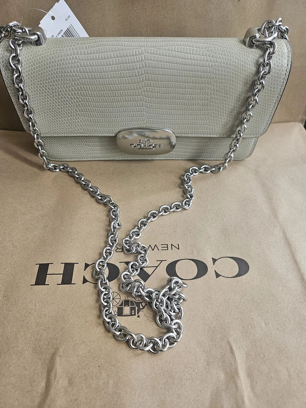Coach Eliza Flap Crossbody Bag Silver / Pale Green CR106